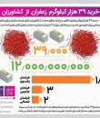 خرید ۳۹ هزار کیلوگرم زعفران از کشاورزان